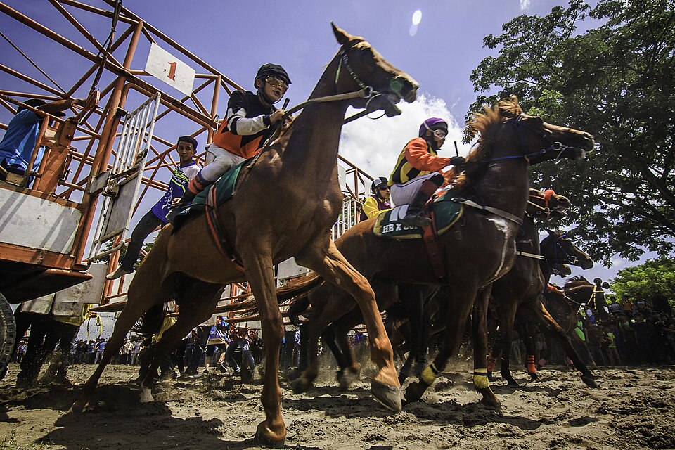 Horses racing down the home straight